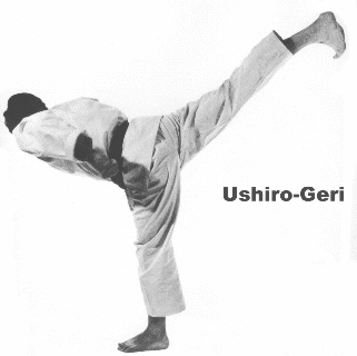 ushiro-geri